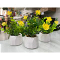 Kit 3 Arranjos de Florzinhas Amarelas em mini Vasos de Gesso