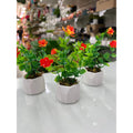 Kit 3 Arranjos de Florzinhas Amarelas em mini Vasos de Gesso