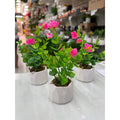 Kit 3 Arranjos de Florzinhas Amarelas em mini Vasos de Gesso