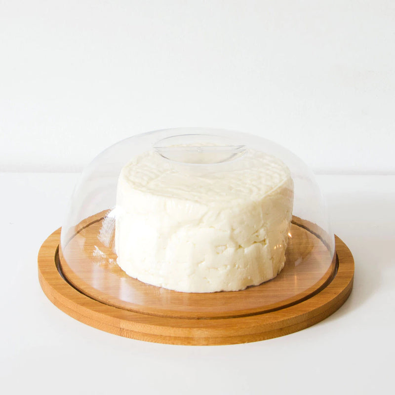 Porta Queijo Bambu com Tampa - Tuut
